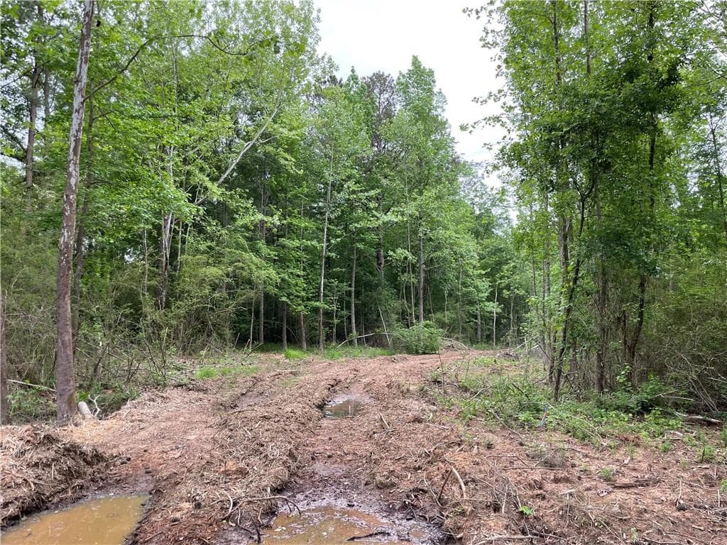 unimproved land for sale at 216 McMichen Road, Dallas, GA 30157 — photo 10