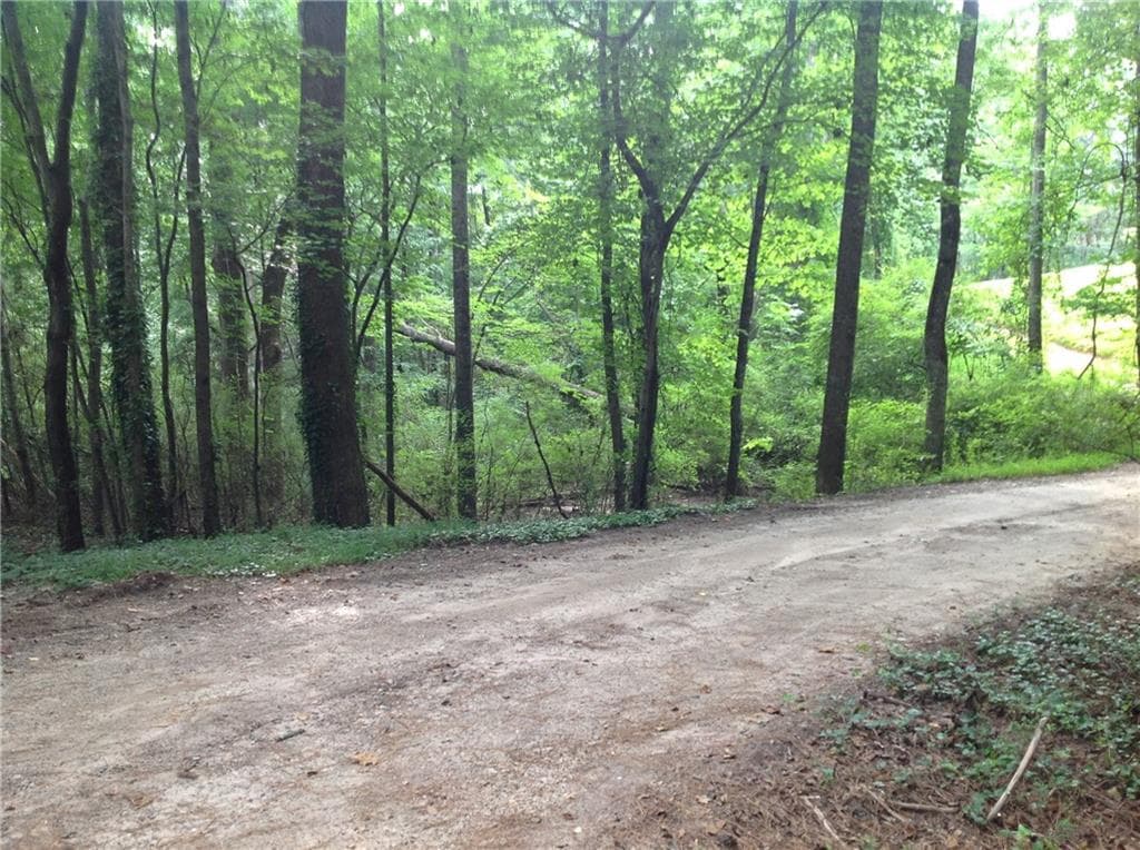 unimproved land for sale at 0 Osborne Road, Flowery Branch, GA 30542 — photo 4