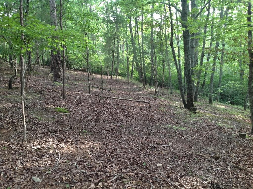 unimproved land for sale at 0 Osborne Road, Flowery Branch, GA 30542 — photo 5