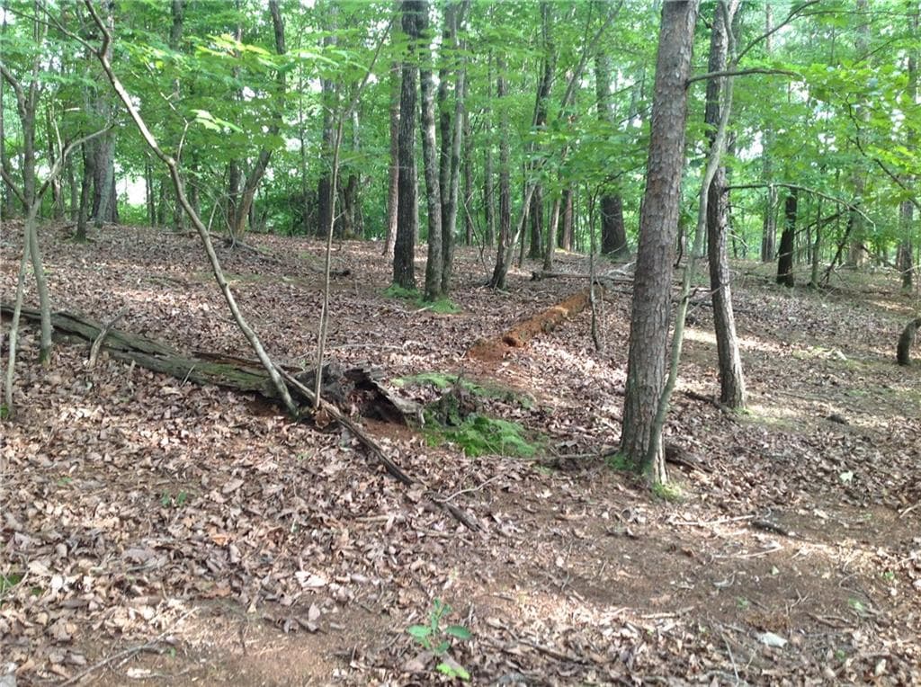 unimproved land for sale at 0 Osborne Road, Flowery Branch, GA 30542 — photo 6