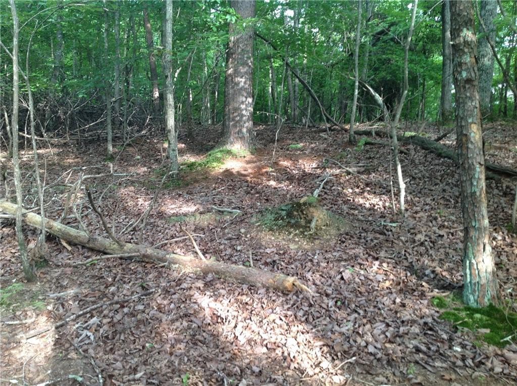 unimproved land for sale at 0 Osborne Road, Flowery Branch, GA 30542 — photo 7