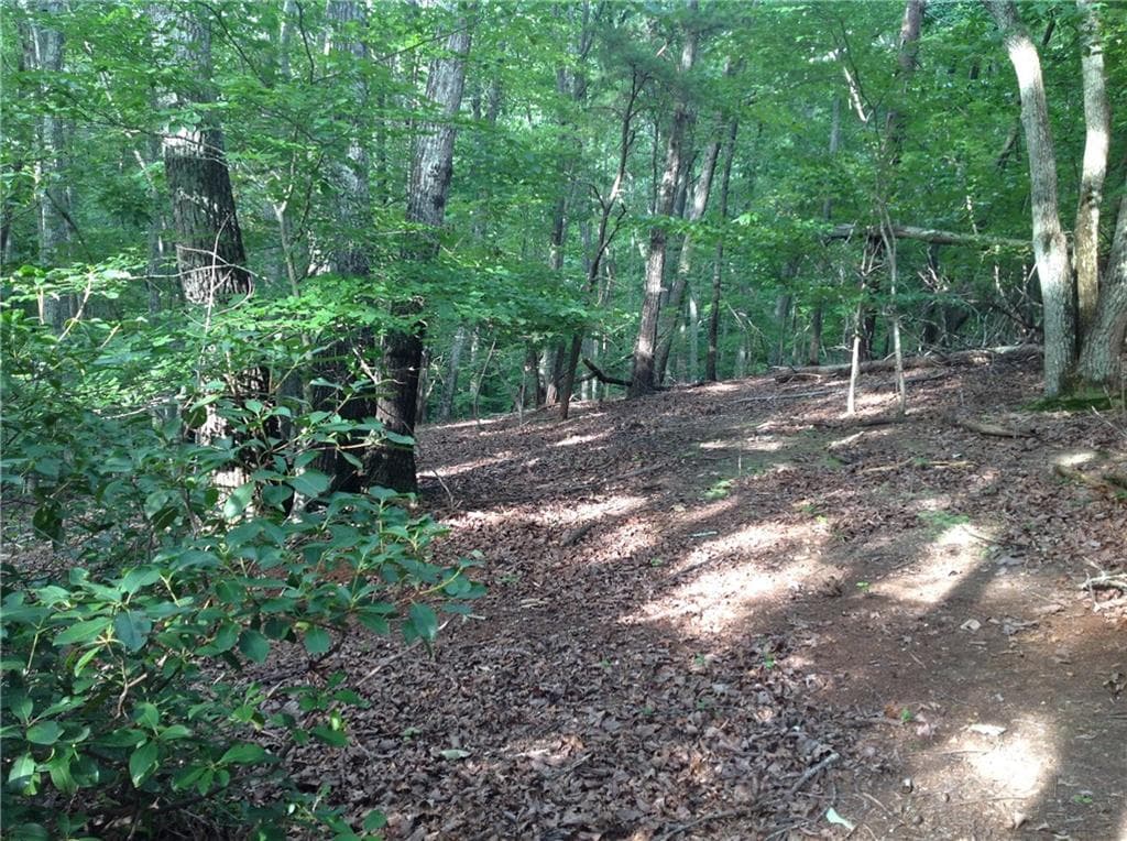 unimproved land for sale at 0 Osborne Road, Flowery Branch, GA 30542 — photo 8