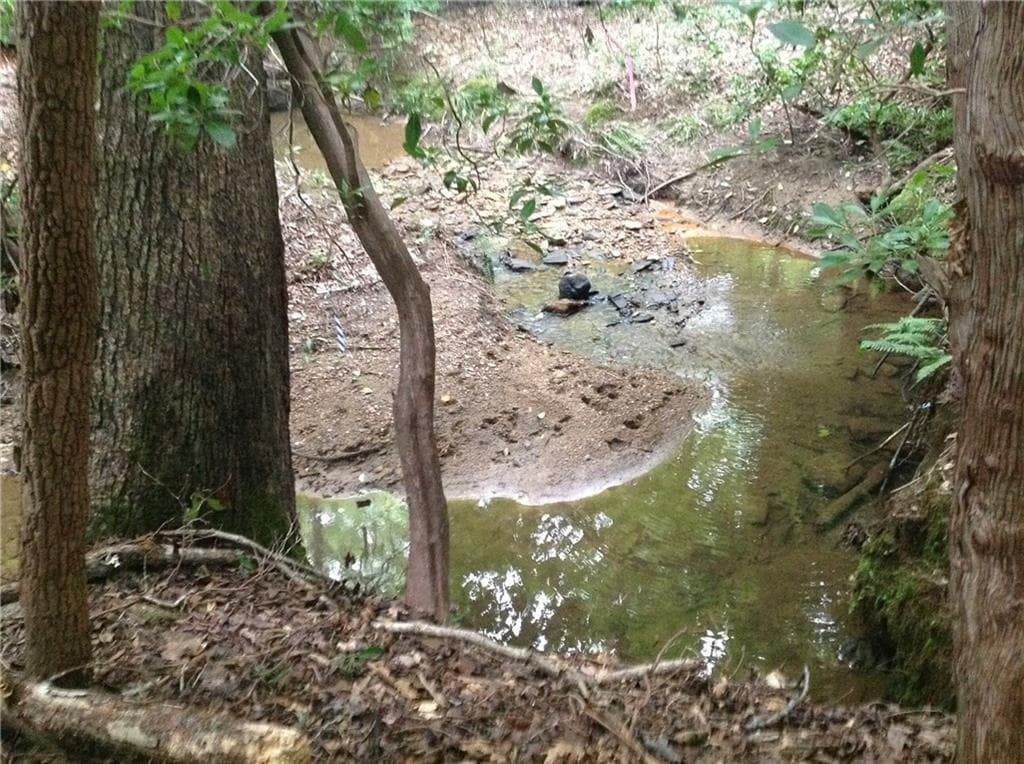 unimproved land for sale at 0 Osborne Road, Flowery Branch, GA 30542 — photo 9