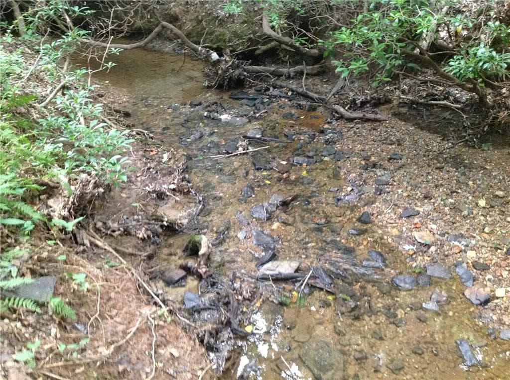 unimproved land for sale at 0 Osborne Road, Flowery Branch, GA 30542 — photo 10