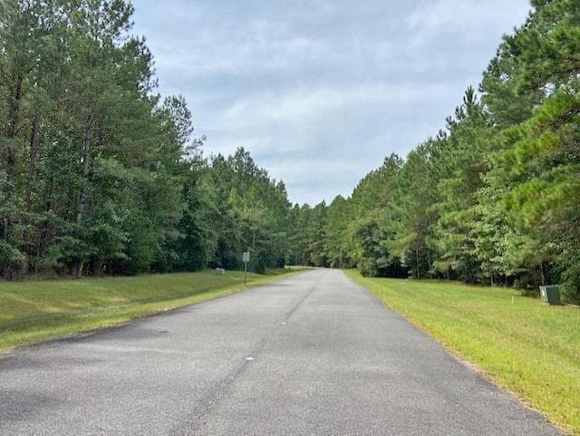 single family residence for sale at 0 La Sole Lane, Waverly, GA 31565 — photo 3