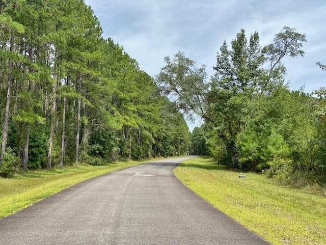single family residence for sale at 0 La Sole Lane, Waverly, GA 31565 — photo 4