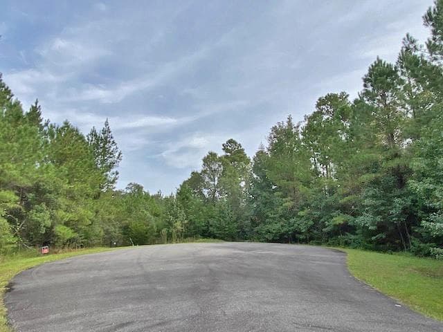 single family residence for sale at 0 La Sole Lane, Waverly, GA 31565 — photo 6