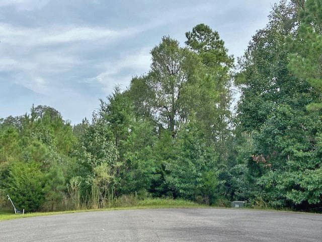single family residence for sale at 0 La Sole Lane, Waverly, GA 31565 — photo 8
