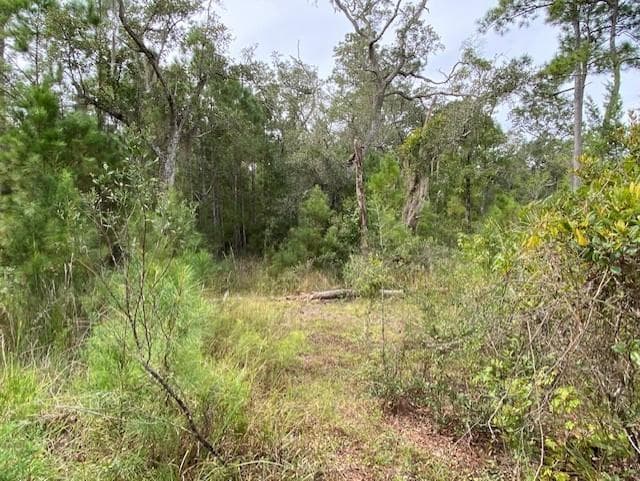 single family residence for sale at 0 La Sole Lane, Waverly, GA 31565 — photo 10
