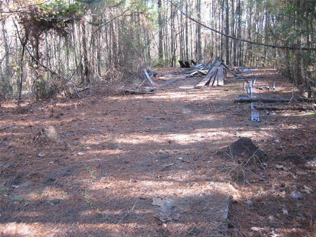 unimproved land for sale at 8050 Campbellton Redwine Road, Chattahoochee Hills, GA 30268 — photo 4