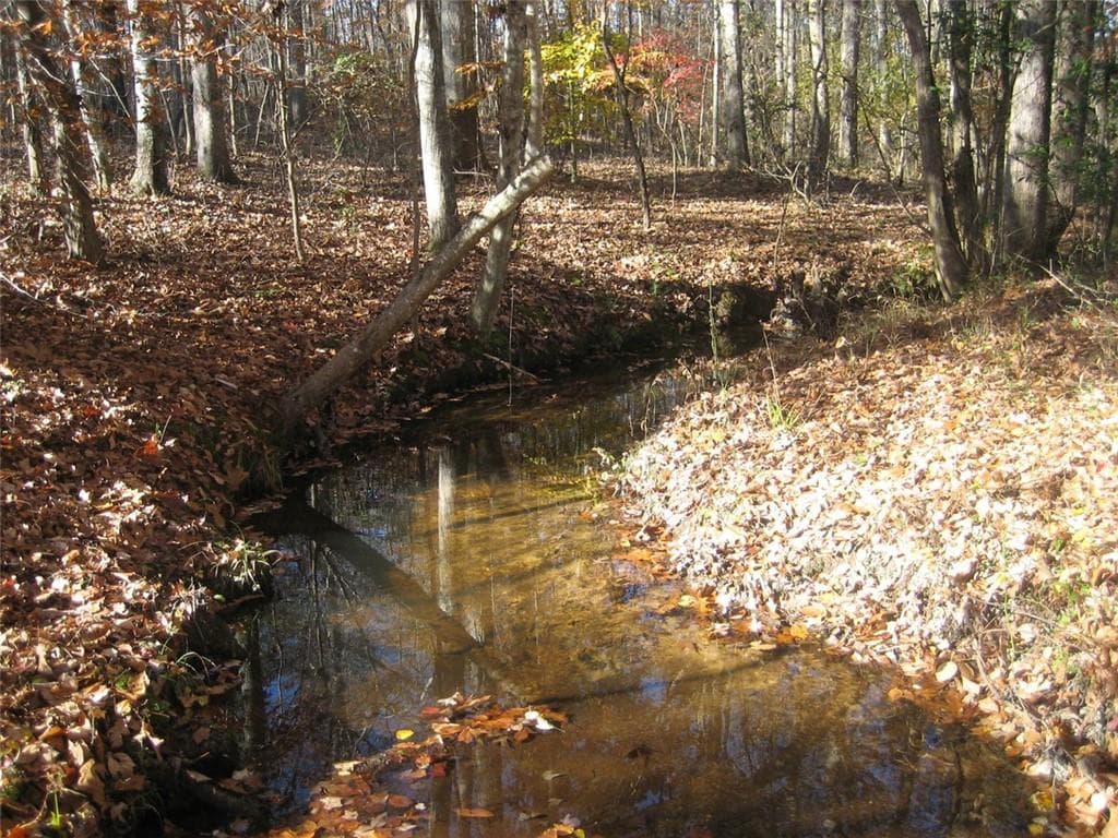 unimproved land for sale at 8050 Campbellton Redwine Road, Chattahoochee Hills, GA 30268 — photo 5
