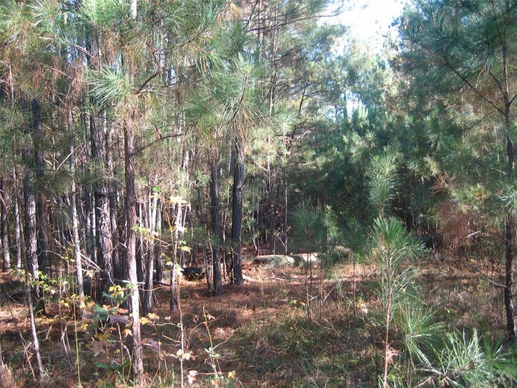 unimproved land for sale at 8050 Campbellton Redwine Road, Chattahoochee Hills, GA 30268 — photo 7