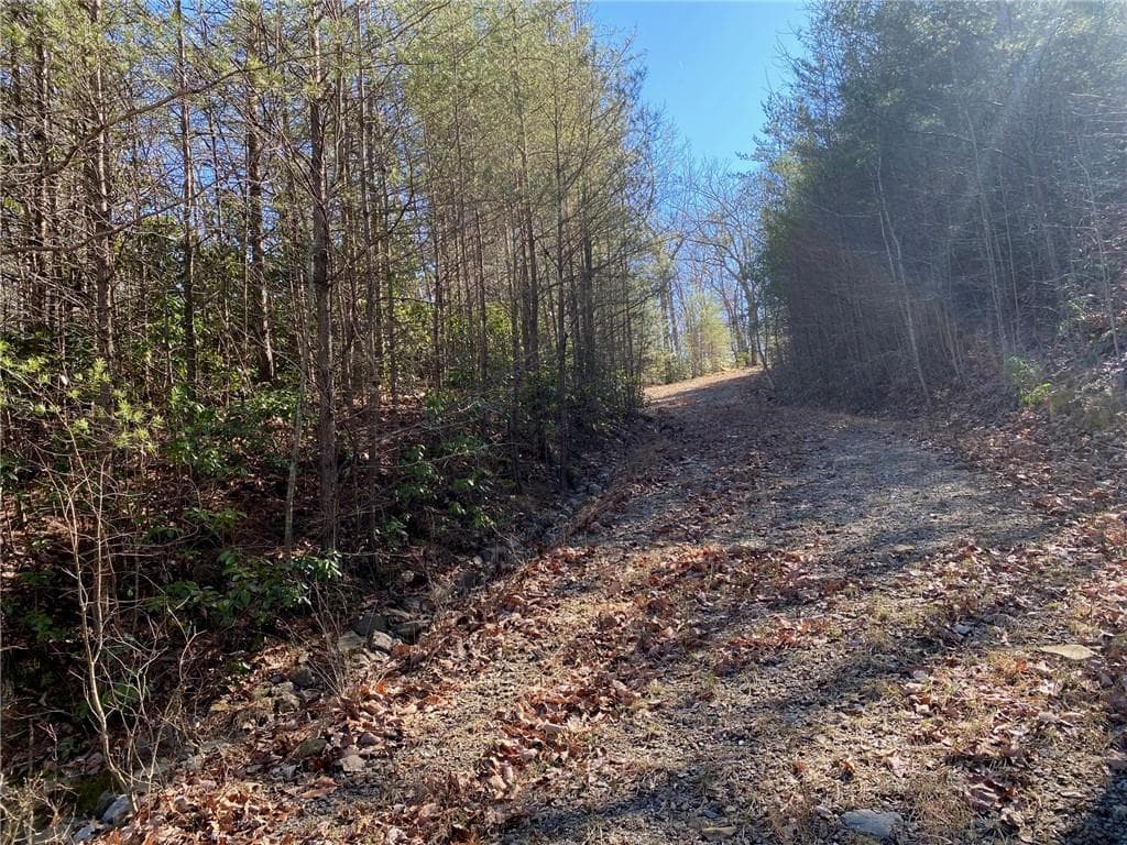 single family residence for sale at 107 Sharp Mountain Parkway, Jasper, GA 30143 — photo 5