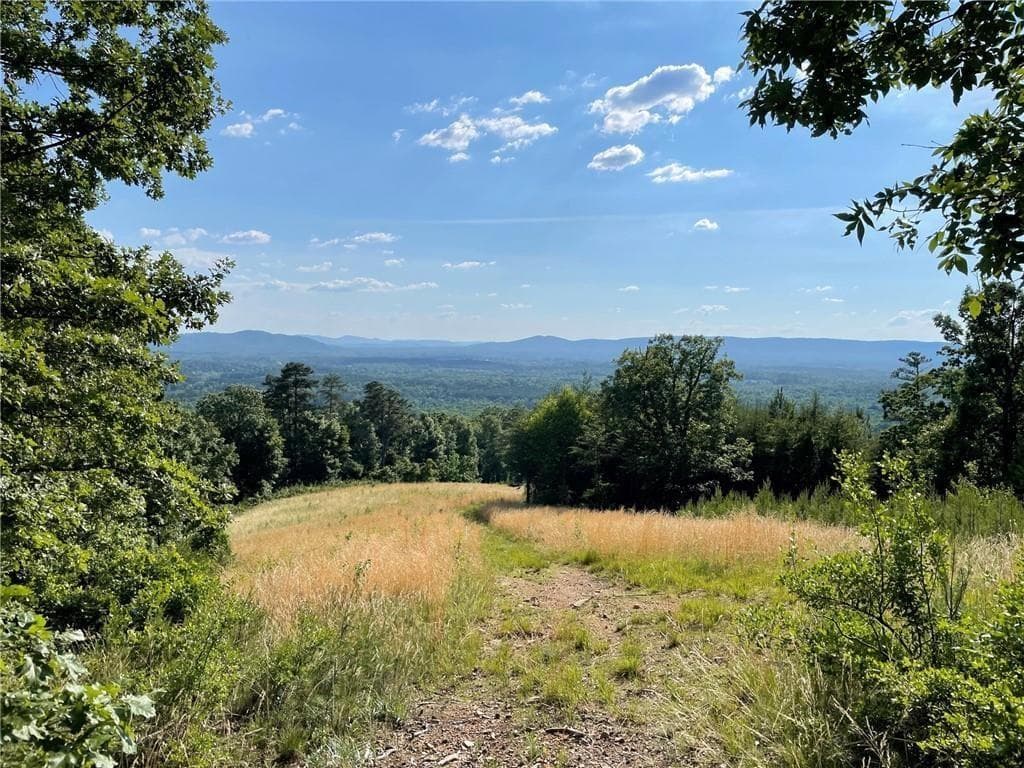 unimproved land for sale at 200 Ridgeview Trail, Calhoun, GA 30701 — photo 3