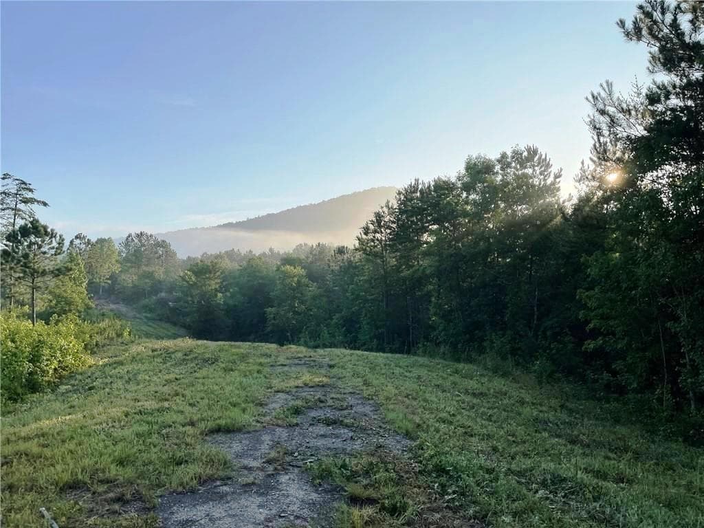 unimproved land for sale at 200 Ridgeview Trail, Calhoun, GA 30701 — photo 4