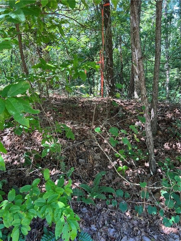 other for sale at 16 Hawks Branch Lane, White, GA 30184 — photo 4