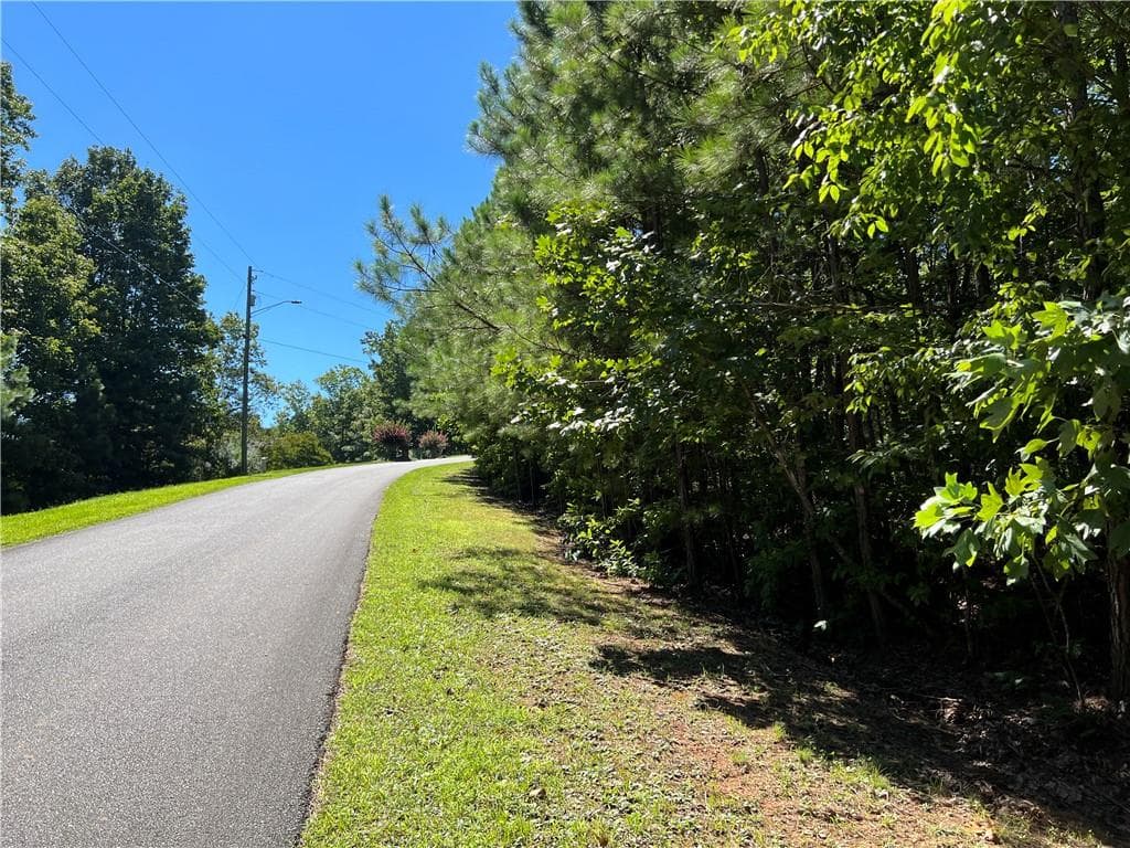 other for sale at 16 Hawks Branch Lane, White, GA 30184 — photo 7