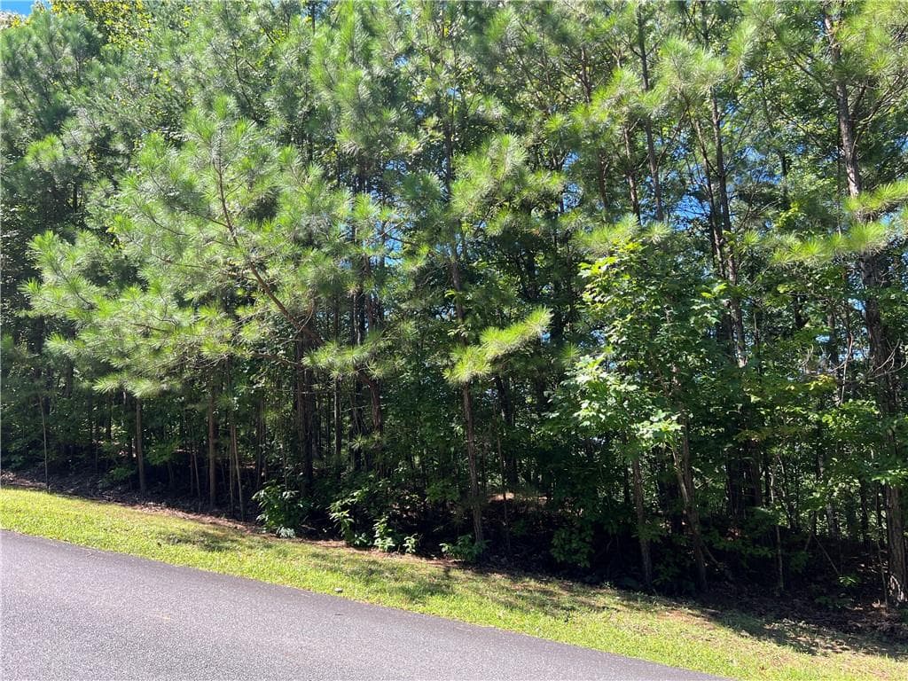 other for sale at 16 Hawks Branch Lane, White, GA 30184 — photo 9