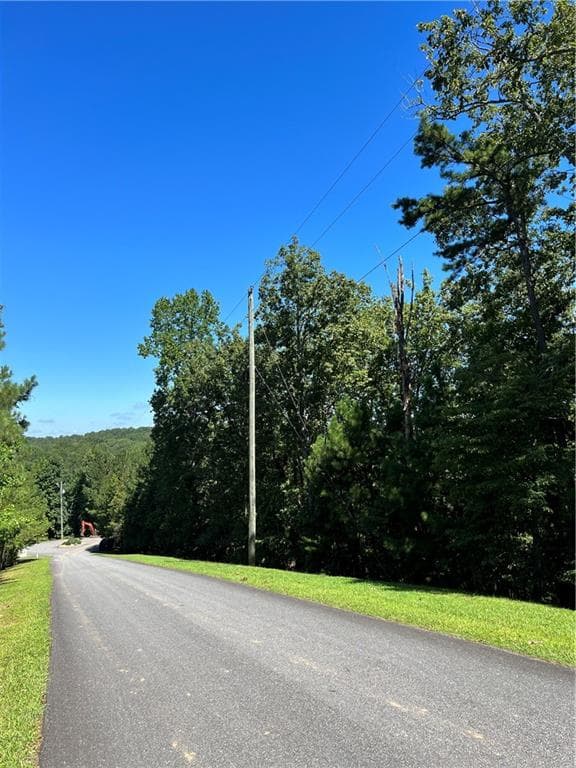 other for sale at 16 Hawks Branch Lane, White, GA 30184 — photo 10