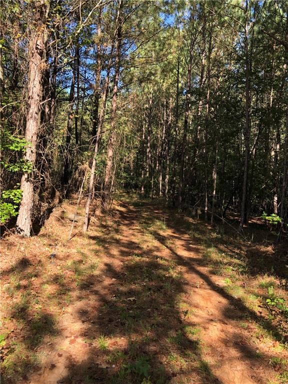 other under contract at 0 Mccart Road, Conyers, GA 30013 — photo 7
