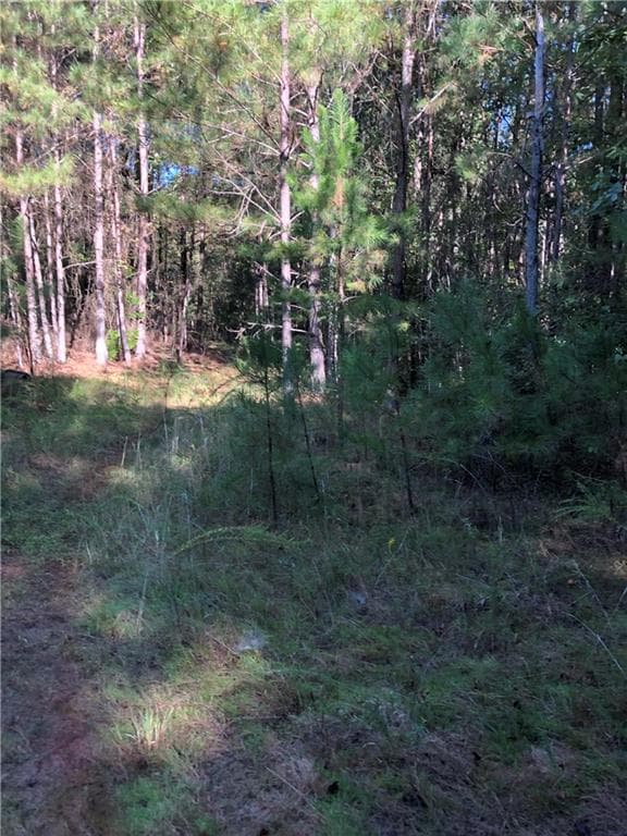 other under contract at 0 Mccart Road, Conyers, GA 30013 — photo 9