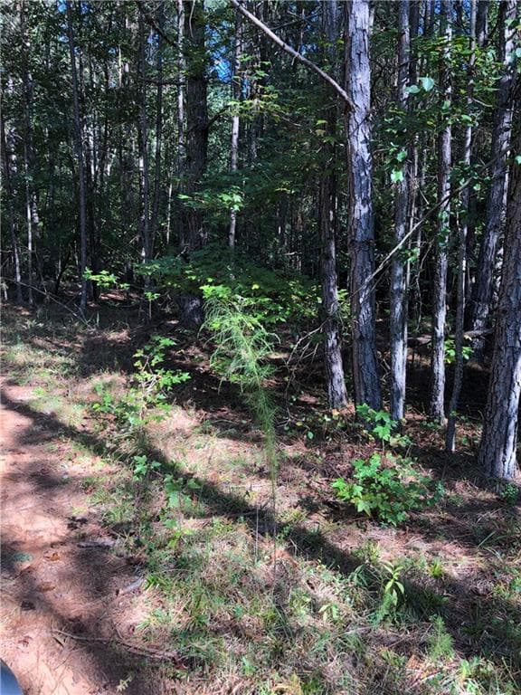 other under contract at 0 Mccart Road, Conyers, GA 30013 — photo 10