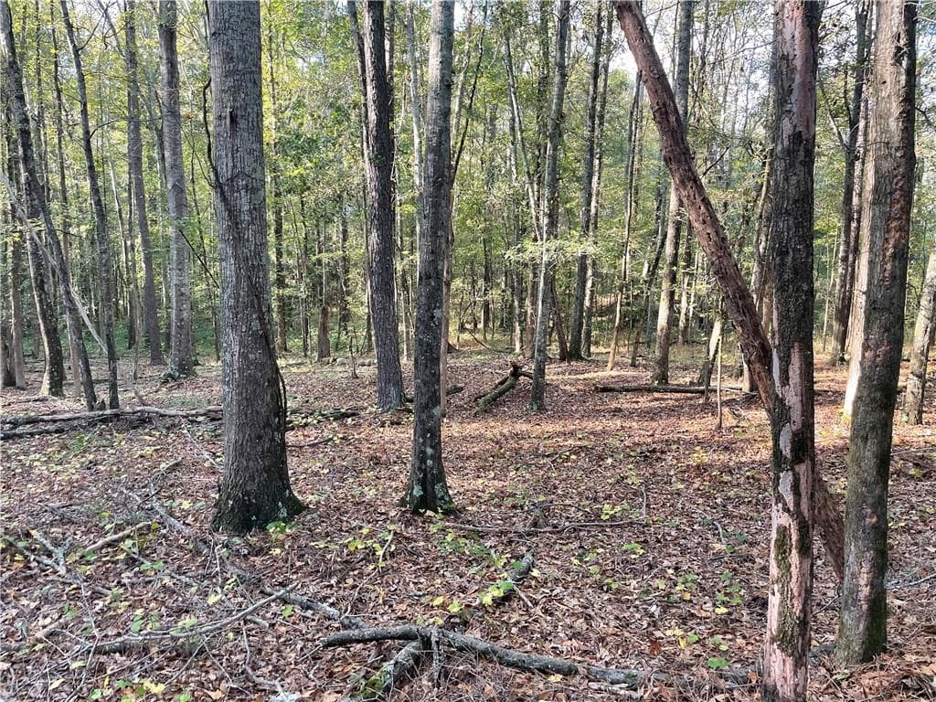 unimproved land for sale at 44 County Line Auburn Road, Auburn, GA 30011 — photo 9