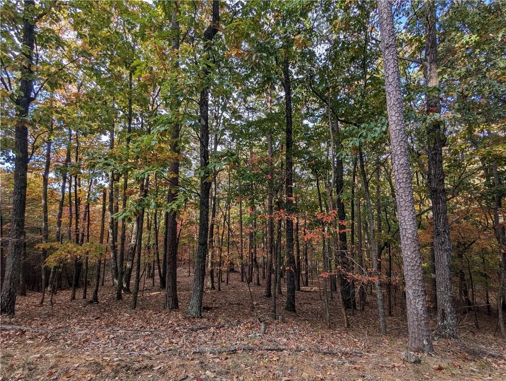 single family residence for sale at 0 Oglethorpe Mountain Road, Jasper, GA 30143 — photo 2