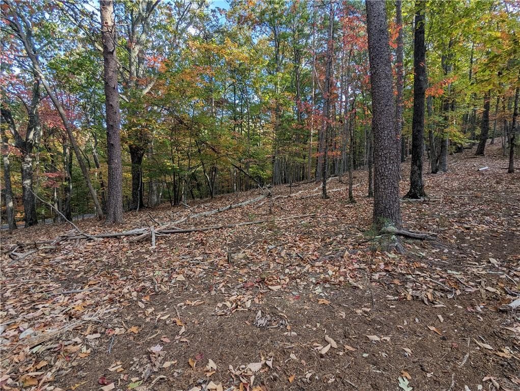 single family residence for sale at 0 Oglethorpe Mountain Road, Jasper, GA 30143 — photo 4