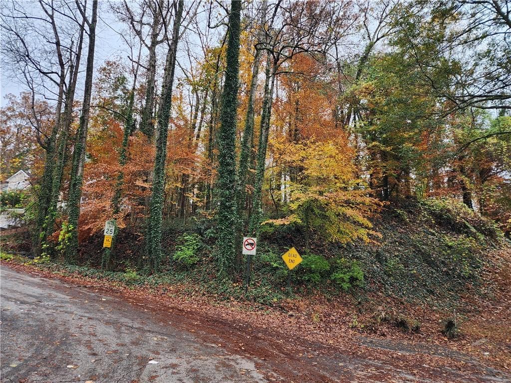 single family residence for sale at 0 Gardenia Drive, Atlanta, GA 30314 — photo 4