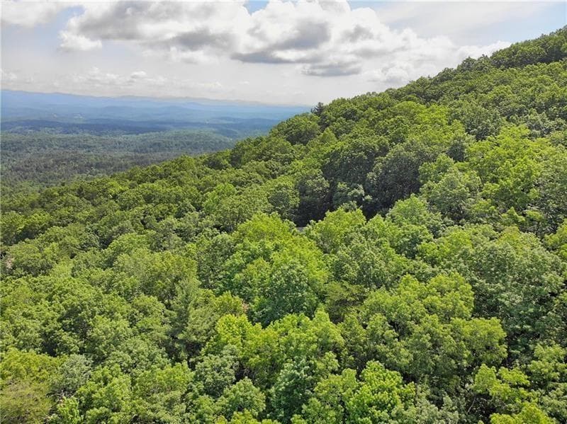single family residence for sale at 3023 Wild Turkey Bluff, Big Canoe, GA 30143 — photo 2