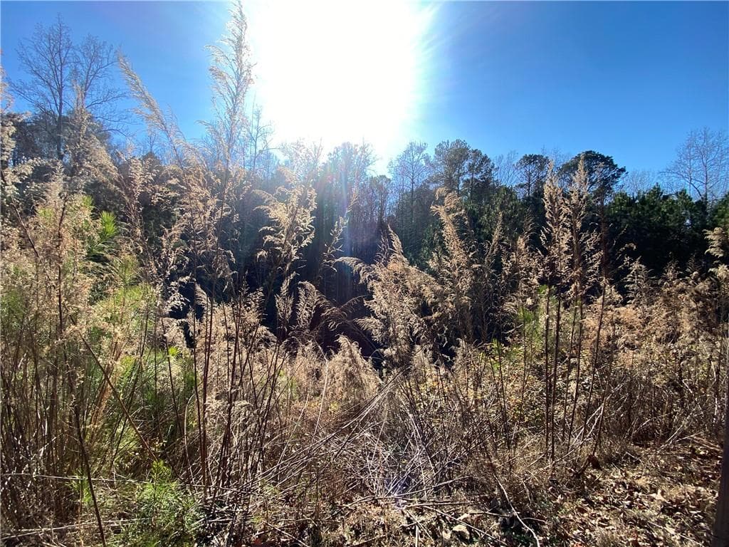 single family residence for sale at 405 Trumpet Circle, Canton, GA 30114 — photo 3