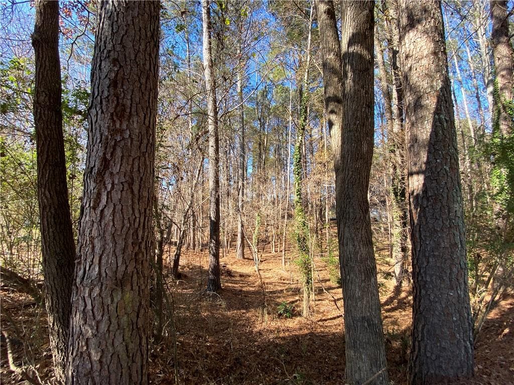 single family residence for sale at 0 Black Oak Trail, Woodstock, GA 30189 — photo 3