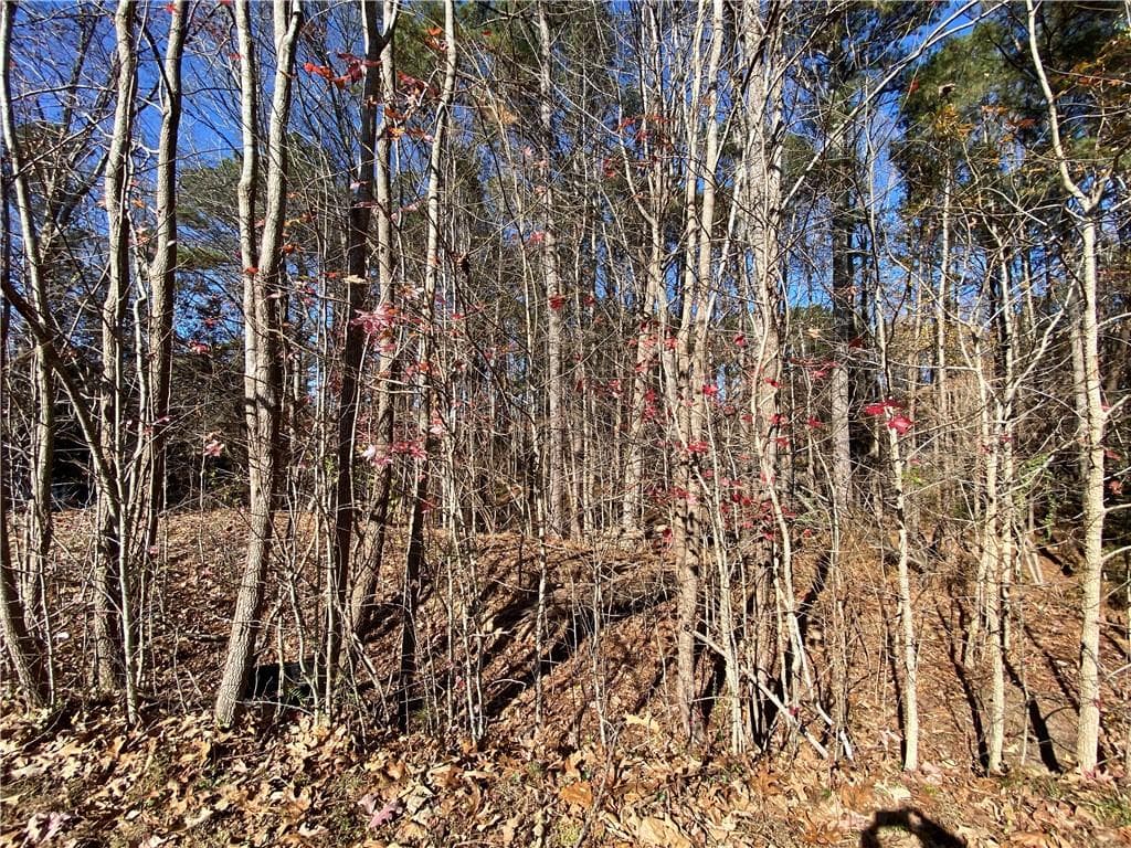 single family residence for sale at 0 Black Oak Trail, Woodstock, GA 30189 — photo 6