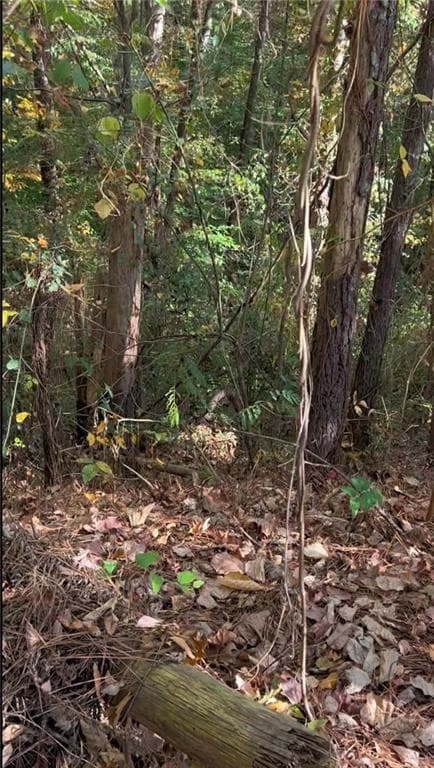 unimproved land for sale at 0 Governors Walk, Canton, GA 30114 — photo 3