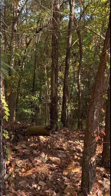 unimproved land for sale at 0 Governors Walk, Canton, GA 30114 — photo 4