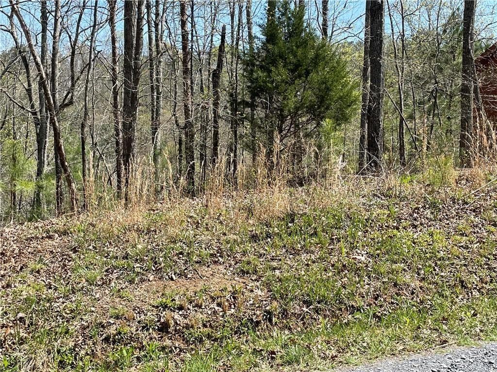 single family residence sold at 1672 Hunter Drive, Ranger, GA 30734