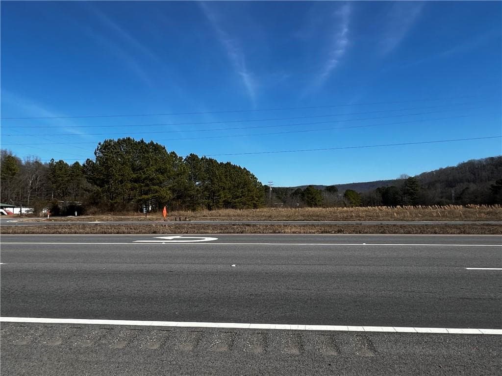 unimproved land for sale at 0 S 27 Highway, Trion, GA 30753 — photo 2