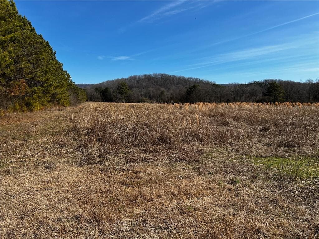 unimproved land for sale at 0 S 27 Highway, Trion, GA 30753 — photo 3