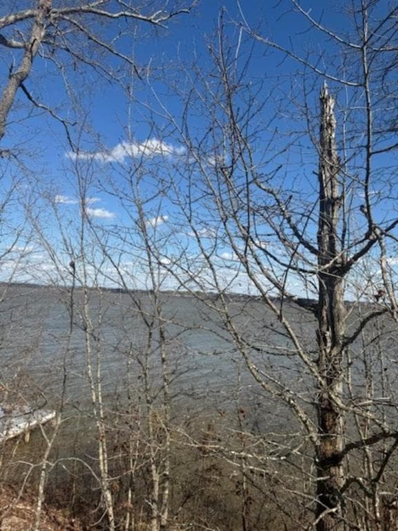 single family residence for sale at Lot 5 County Rd 531, Centre, AL 35960 — photo 2