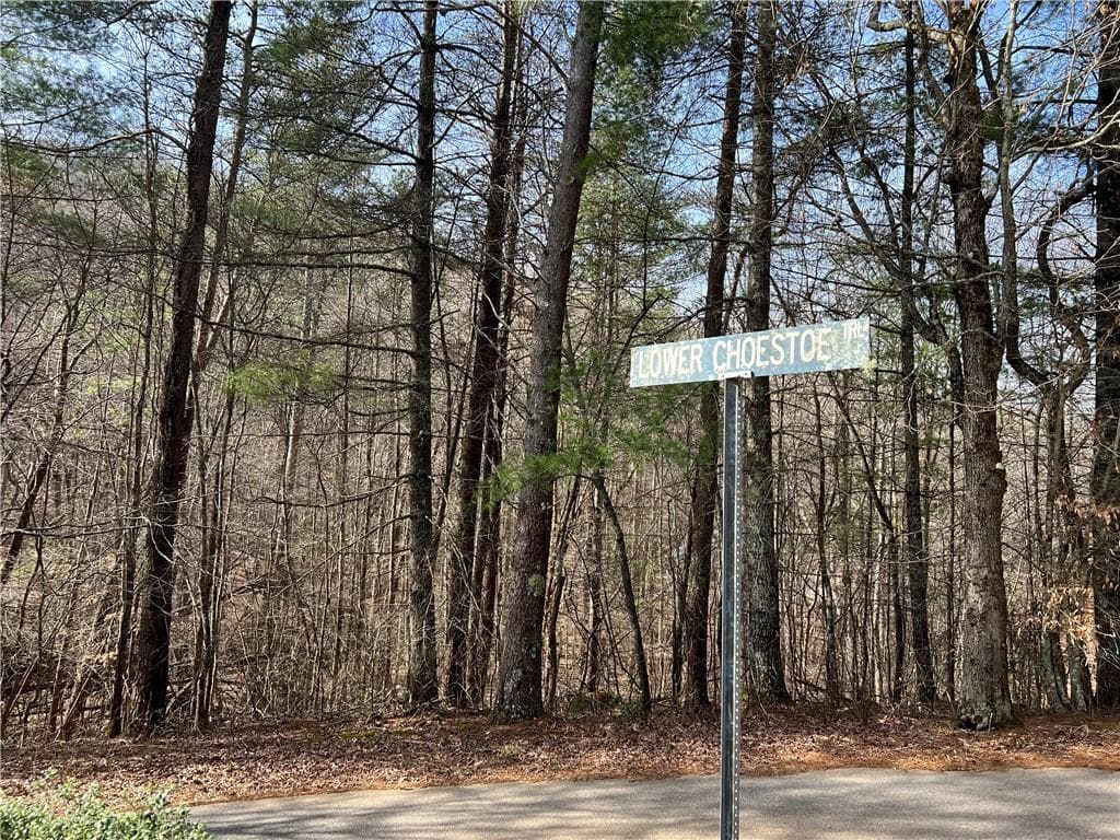 single family residence for sale at 02.17 Choestoe Trail, Blairsville, GA 30512 — photo 8
