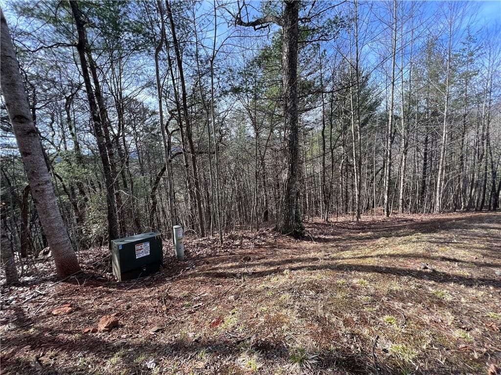 single family residence for sale at 02.17 Choestoe Trail, Blairsville, GA 30512 — photo 2