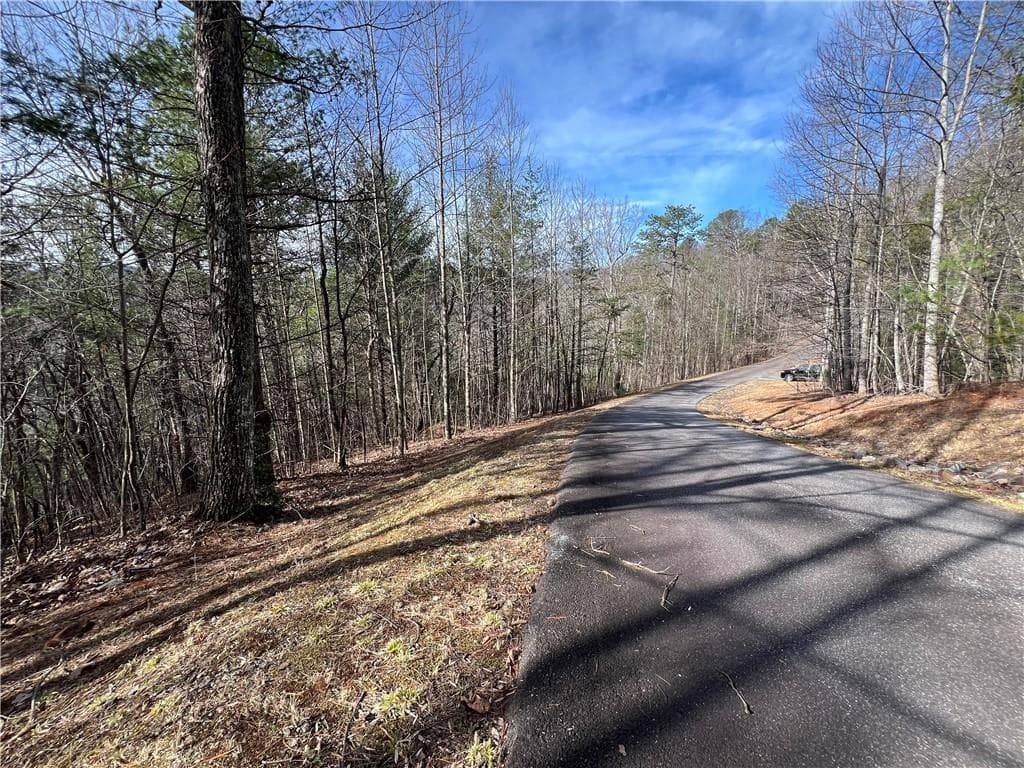 single family residence for sale at 02.17 Choestoe Trail, Blairsville, GA 30512 — photo 9