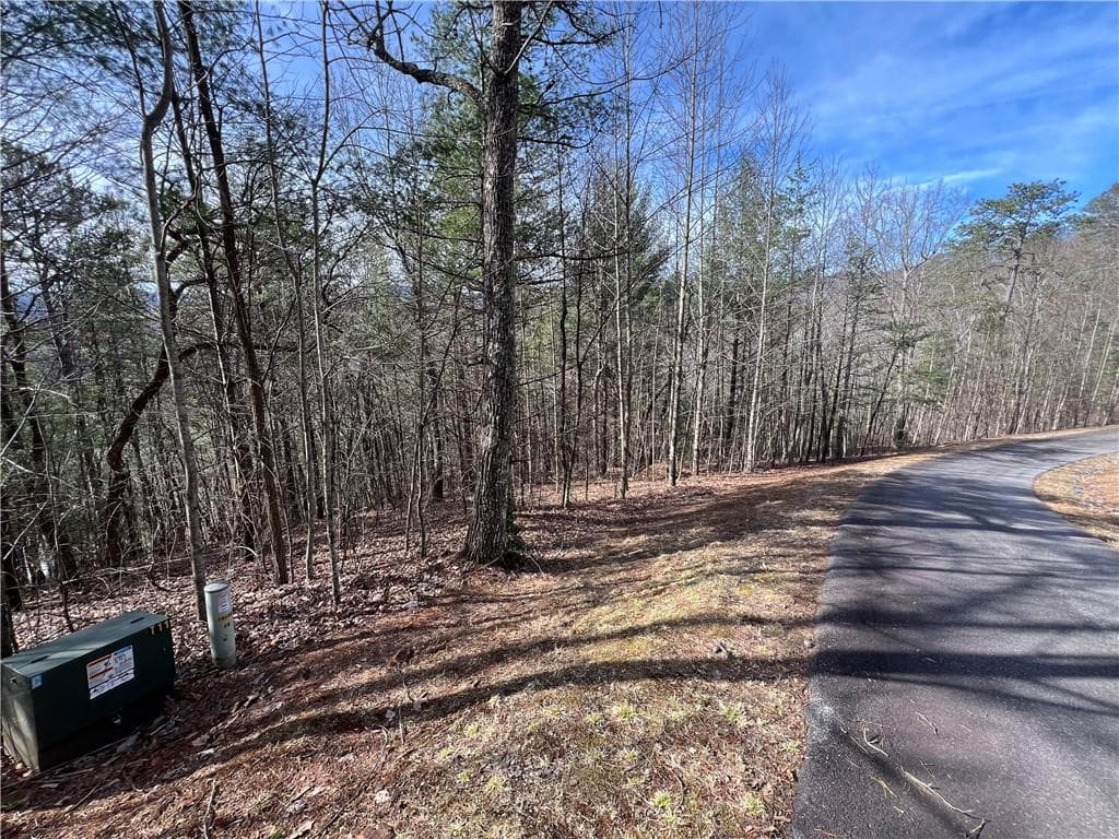 single family residence for sale at 02.17 Choestoe Trail, Blairsville, GA 30512 — photo 10