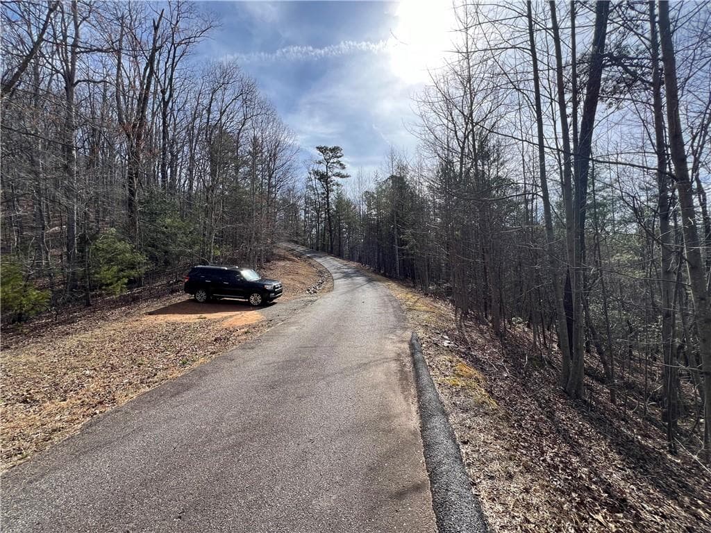 single family residence for sale at 02.17 Choestoe Trail, Blairsville, GA 30512 — photo 3