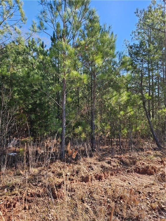 other under contract at 2567 Gees Mill Road, Conyers, GA 30013 — photo 2