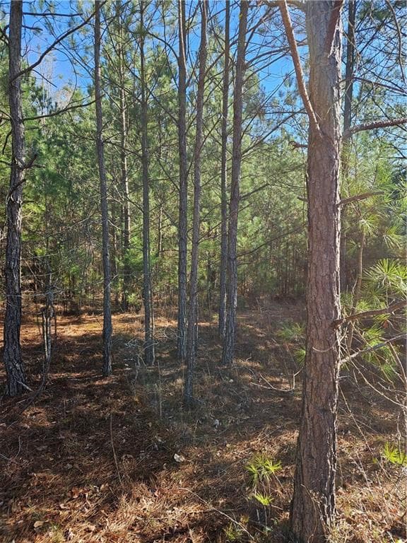 other under contract at 2567 Gees Mill Road, Conyers, GA 30013 — photo 3