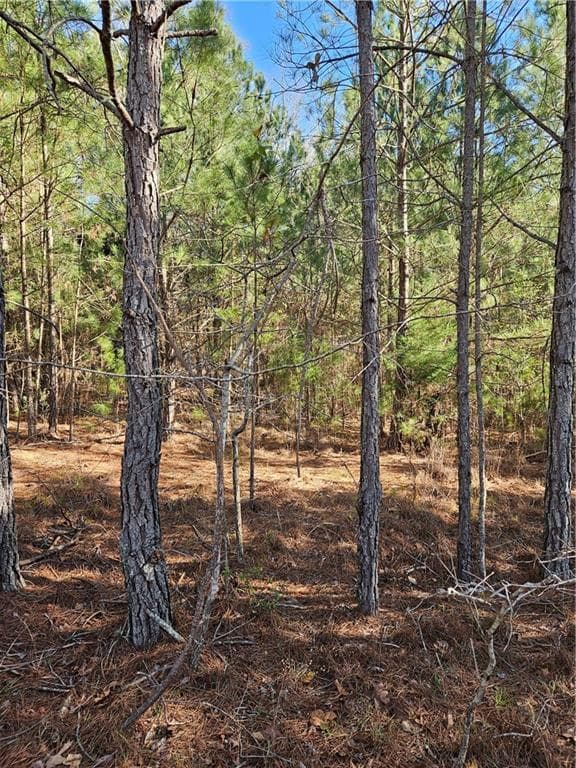 other under contract at 2567 Gees Mill Road, Conyers, GA 30013 — photo 4