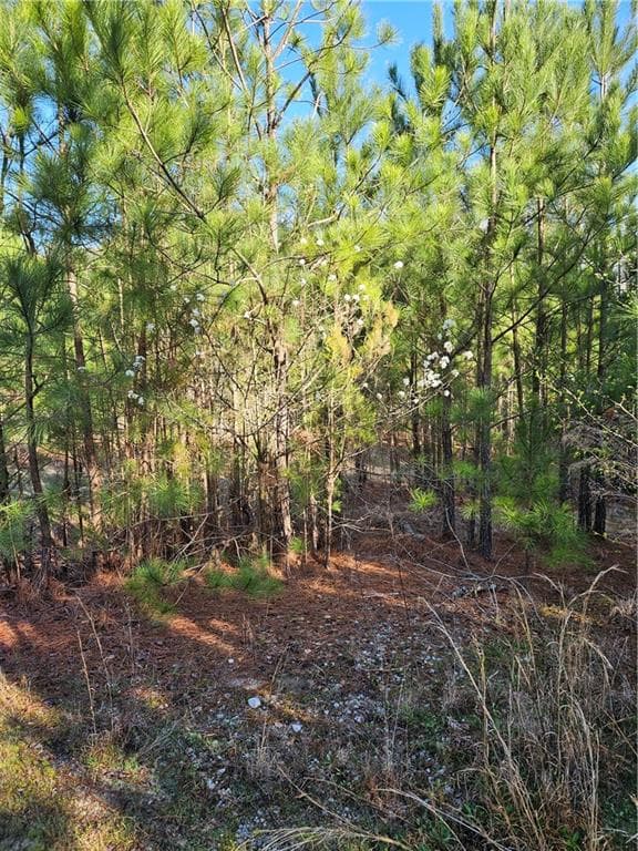 other under contract at 2567 Gees Mill Road, Conyers, GA 30013 — photo 8