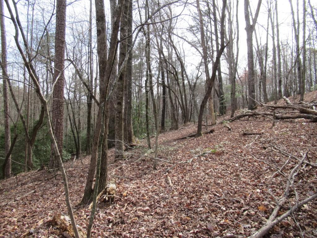 single family residence for sale at 0 Long Branch Road, Dahlonega, GA 30533 — photo 1 of 8